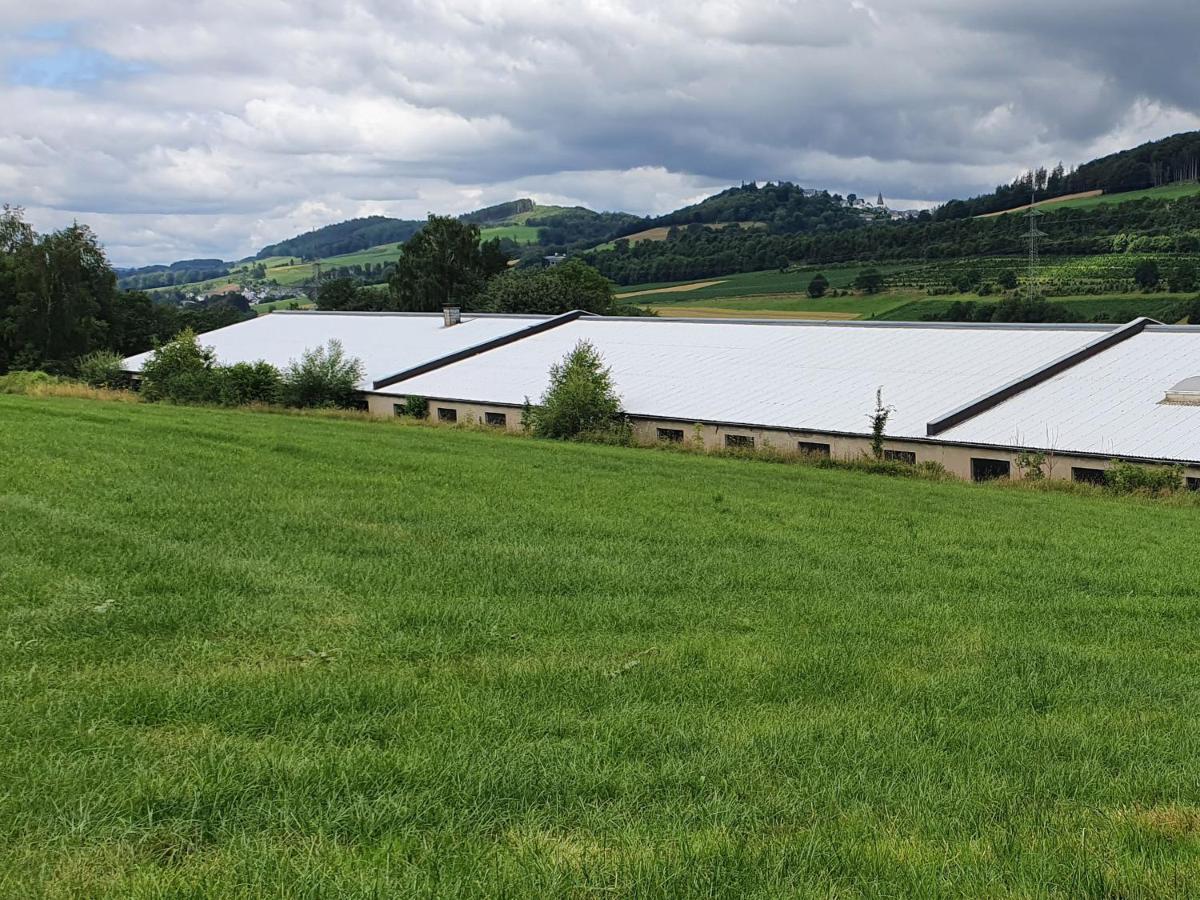 Ferienwohnungen Am Finkenweg Bestwig Exteriér fotografie
