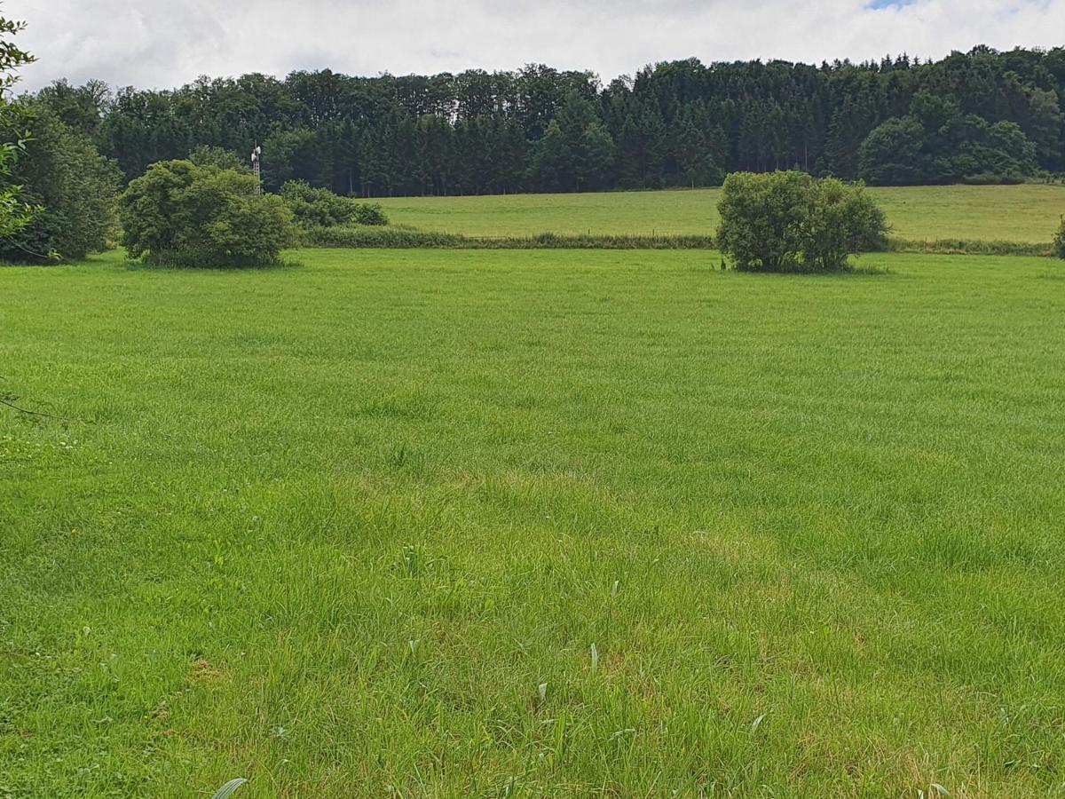 Ferienwohnungen Am Finkenweg Bestwig Exteriér fotografie